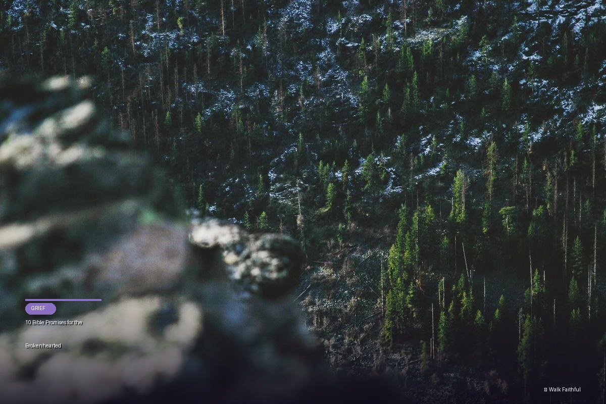 10 Bible Promises for the Brokenhearted