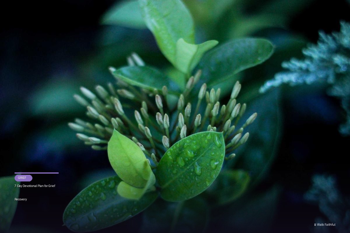 7-Day Devotional Plan for Grief Recovery