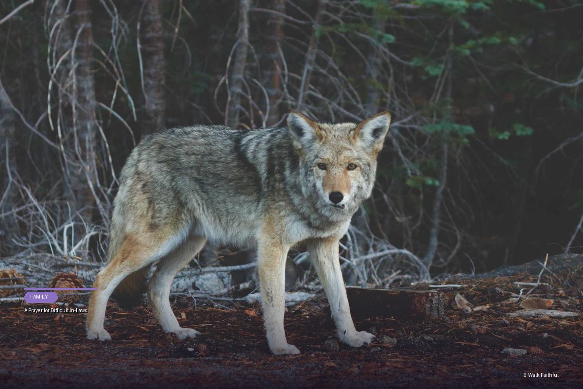 A Prayer for Difficult In-Laws