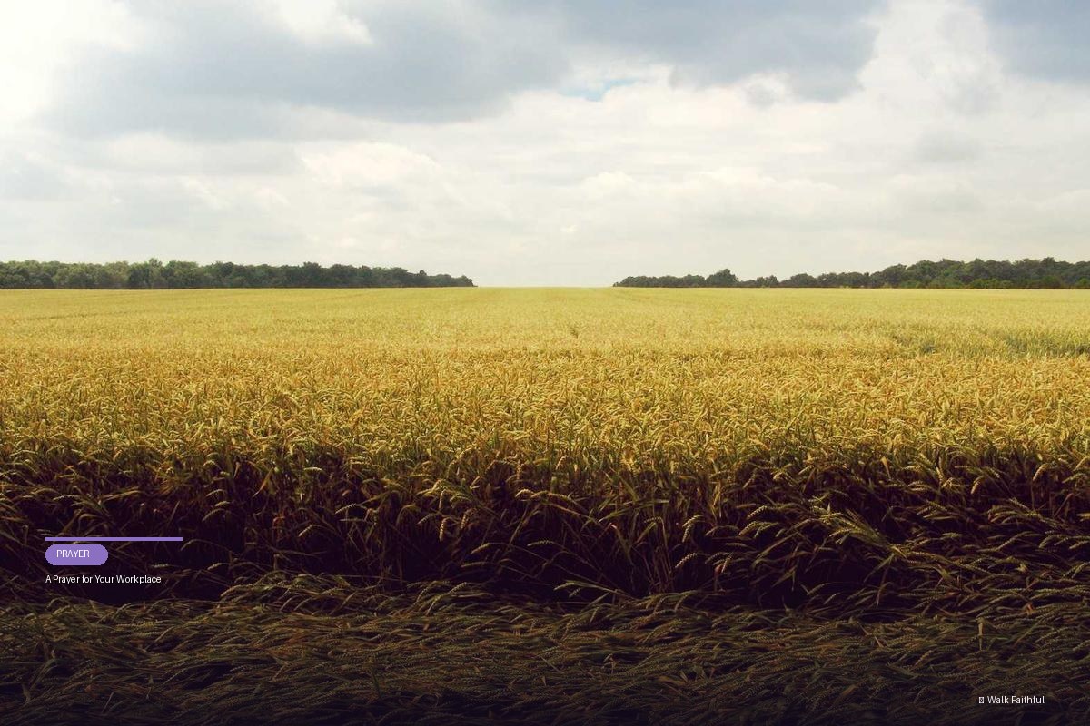 A Prayer for Your Workplace