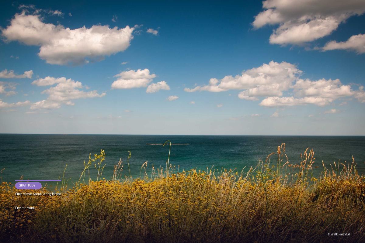 Bible Verses About Caring for the Environment