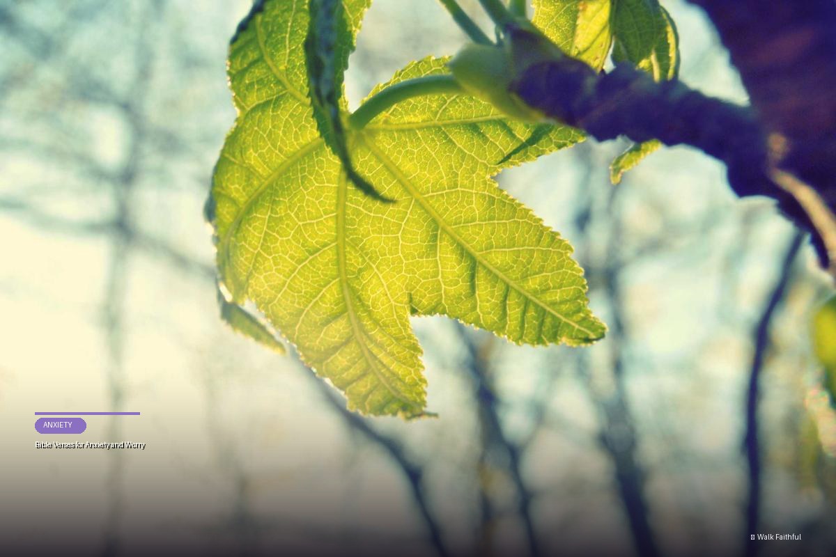Bible Verses for Anxiety and Worry