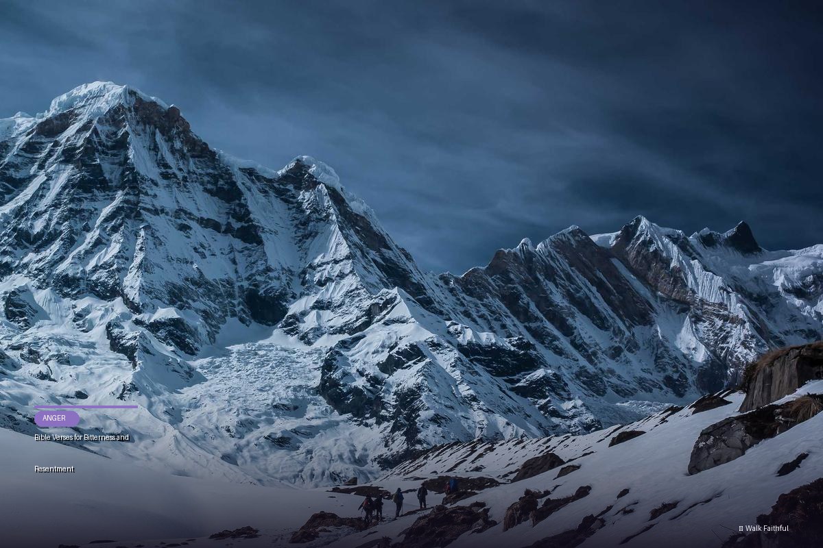 Bible Verses for Bitterness and Resentment