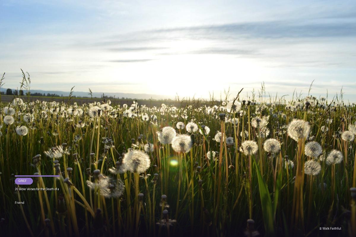 20 Bible Verses for the Death of a Friend