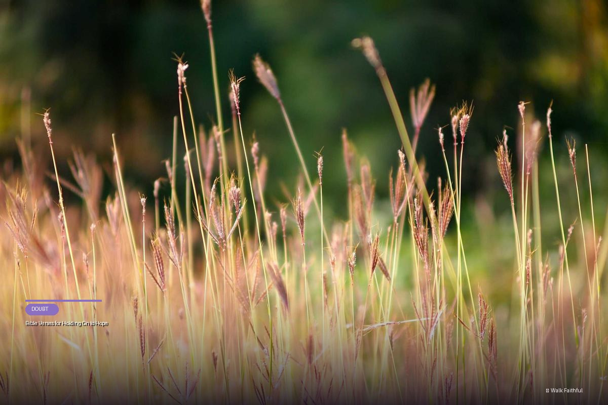 Bible Verses for Holding On to Hope