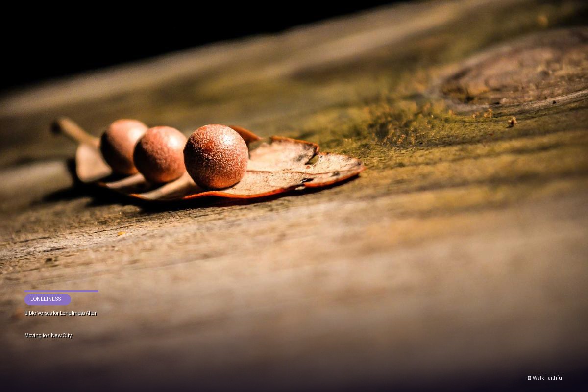 Bible Verses for Loneliness After Moving to a New City