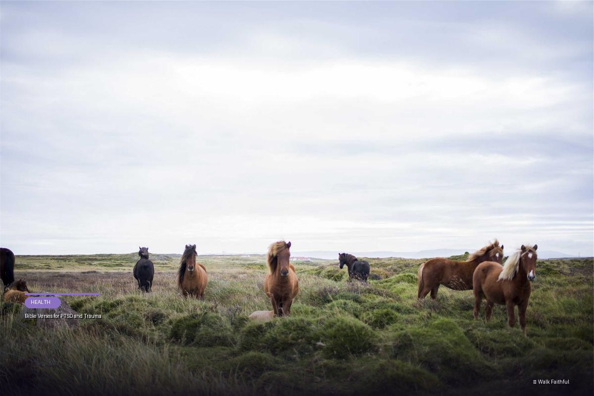 Bible Verses for PTSD and Trauma