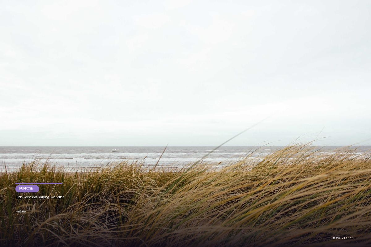 Bible Verses for Starting Over After Failure