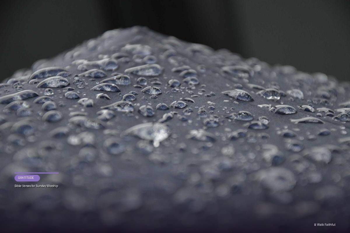 Bible Verses for Sunday Worship