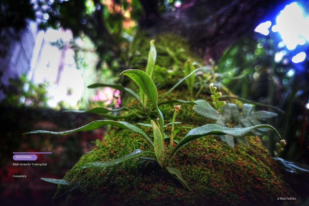 Bible Verses for Trusting God Completely