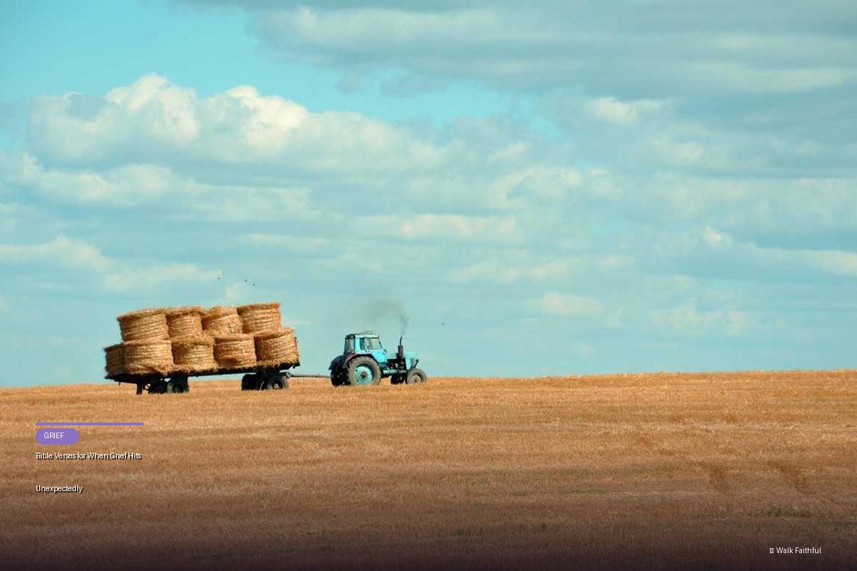 Bible Verses for When Grief Hits Unexpectedly