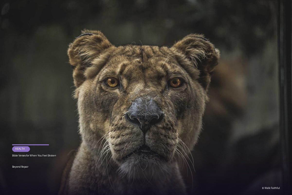 Bible Verses for When You Feel Broken Beyond Repair