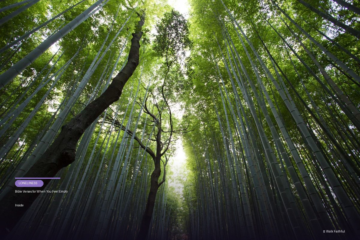 Bible Verses for When You Feel Empty Inside