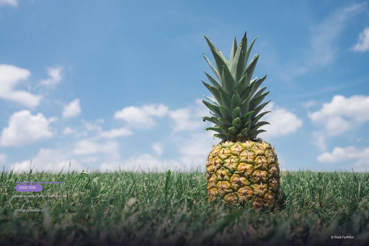 Bible Verses for When You Feel Like Giving Up Recovery