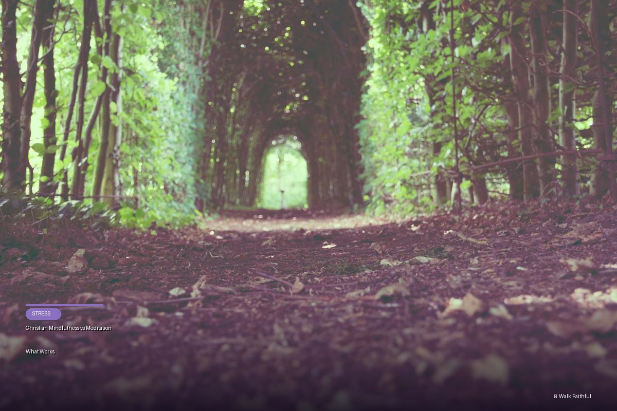 Christian Mindfulness vs Meditation What Works