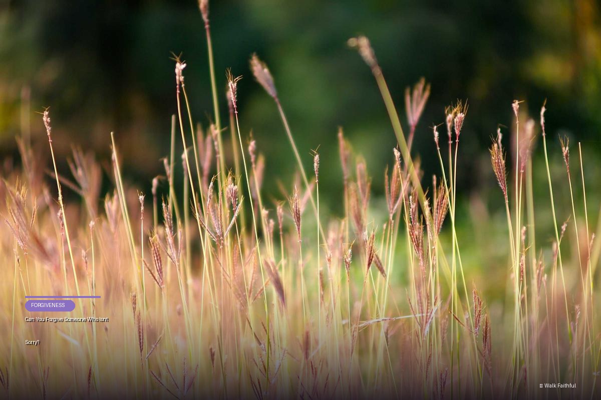 Can You Forgive Someone Who Isn’t Sorry?