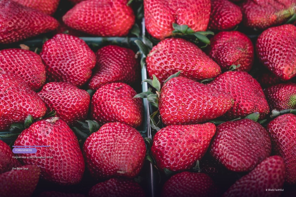 Forgiveness vs Reconciliation: What the Bible Says