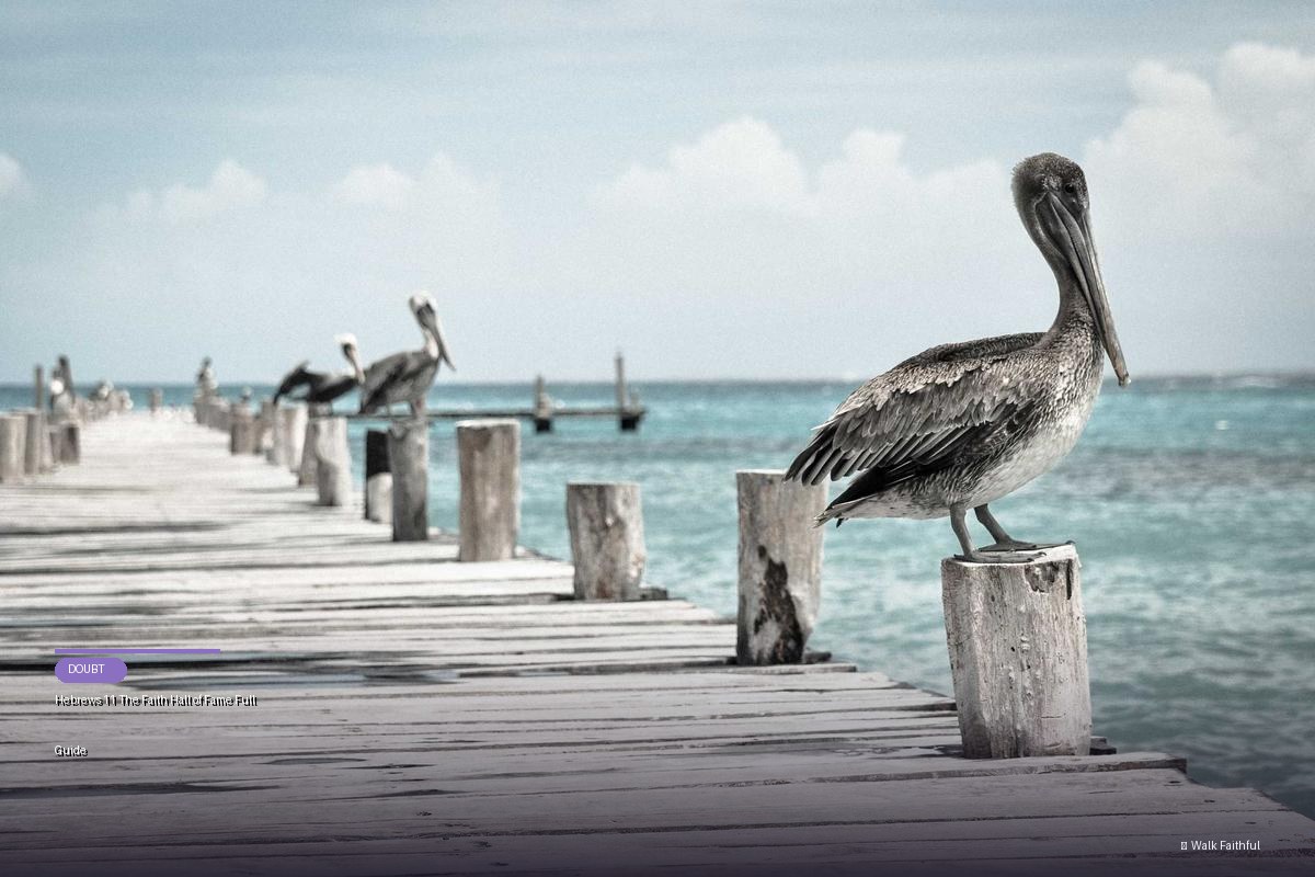 Hebrews 11 The Faith Hall of Fame Full Guide