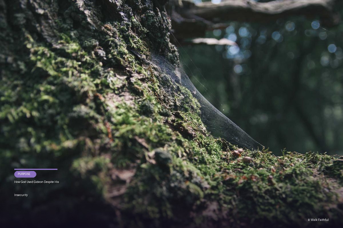 How God Used Gideon Despite His Insecurity