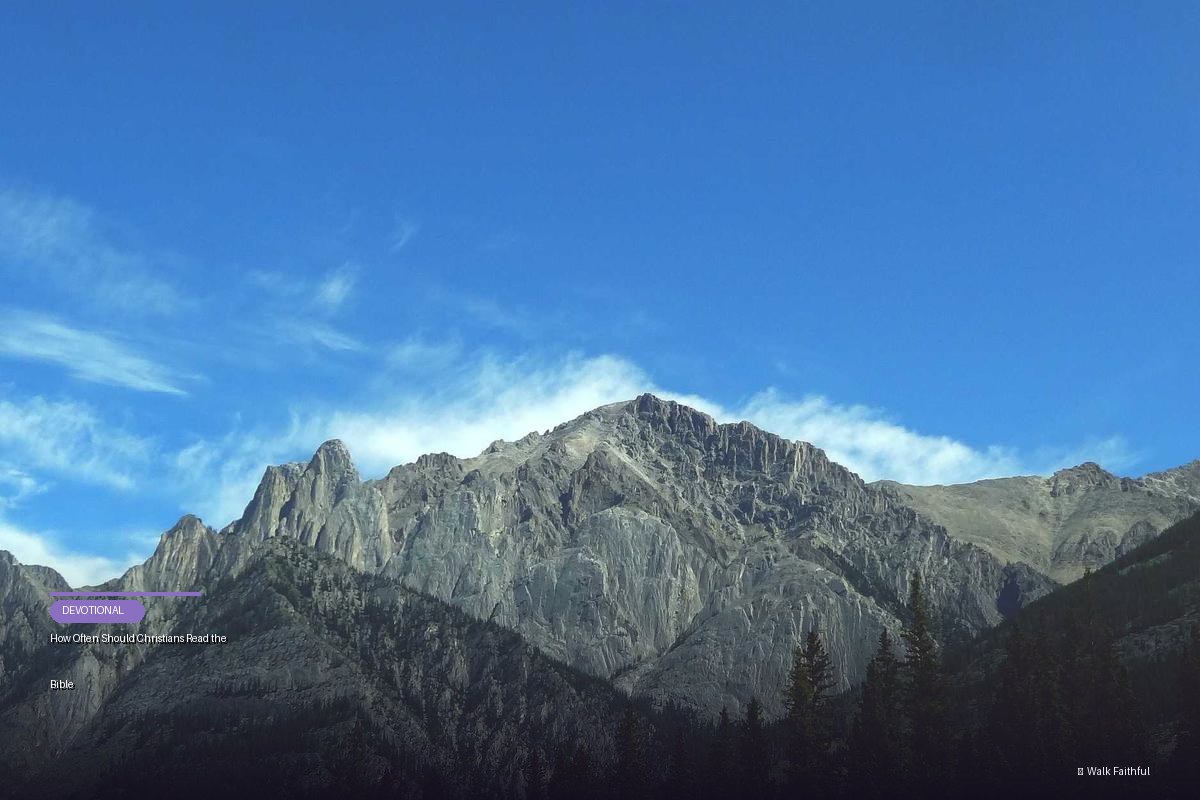 How Often Should Christians Read the Bible