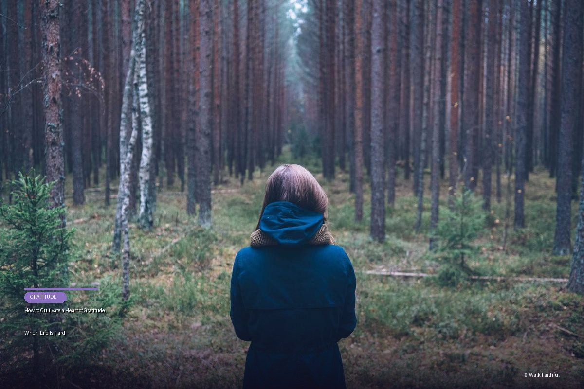 How to Cultivate a Heart of Gratitude When Life Is Hard