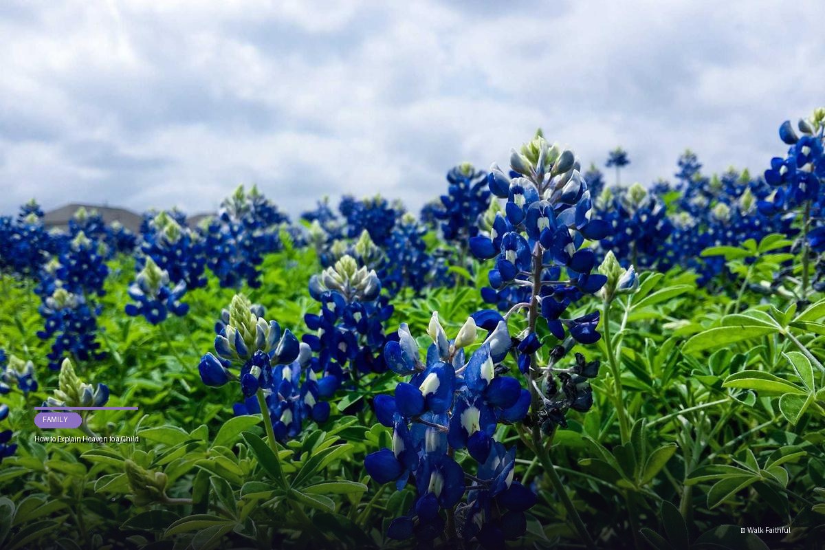 How to Explain Heaven to a Child