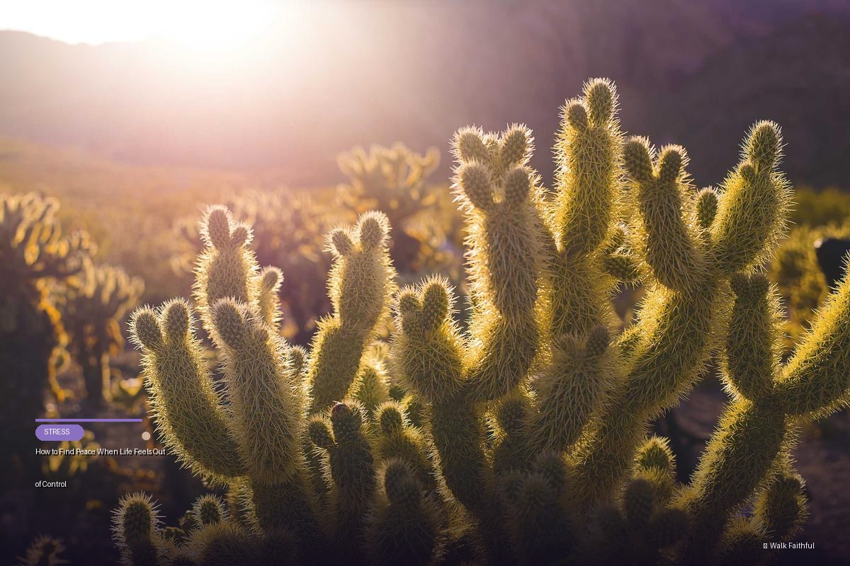 How to Find Peace When Life Feels Out of Control