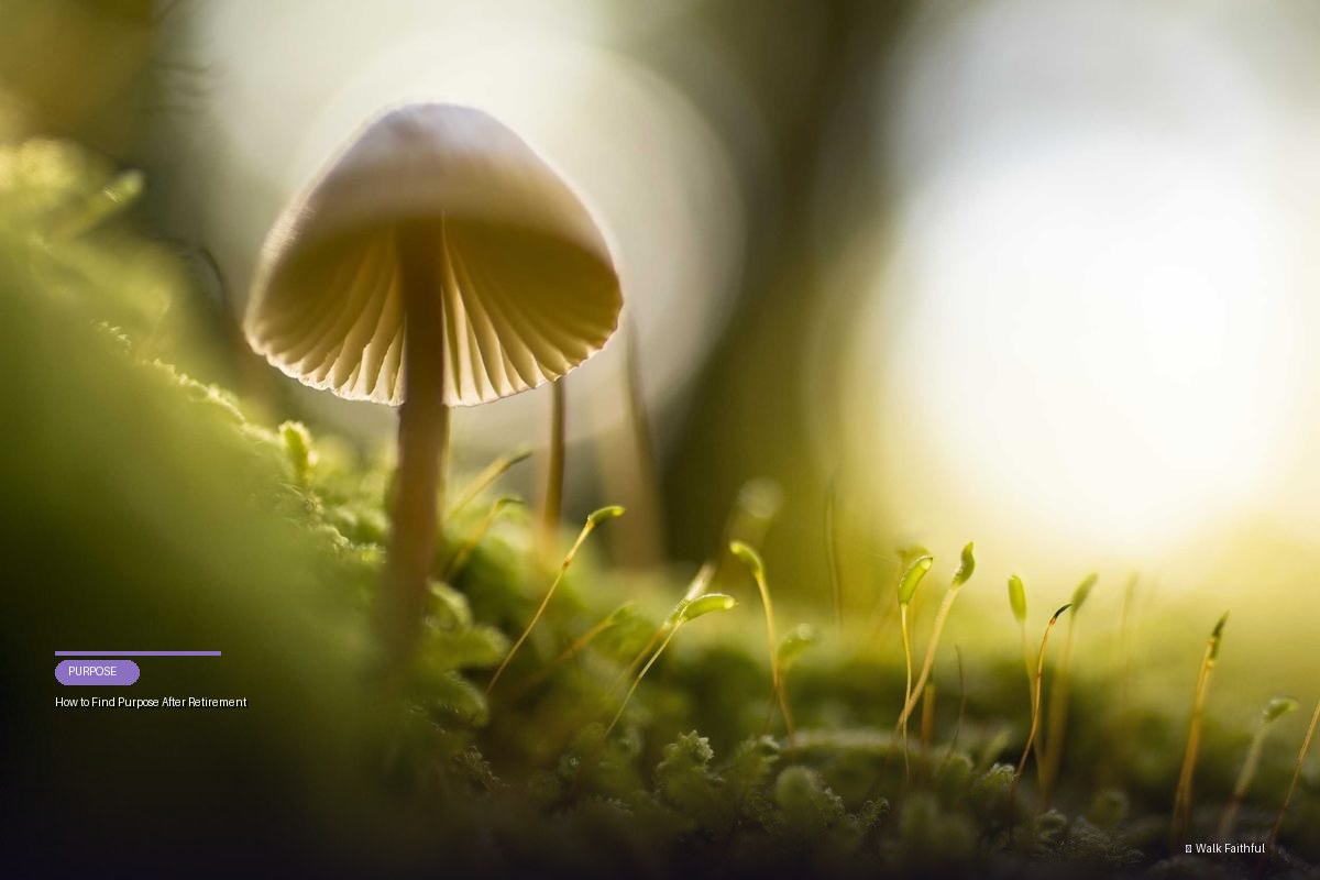 How to Find Purpose After Retirement