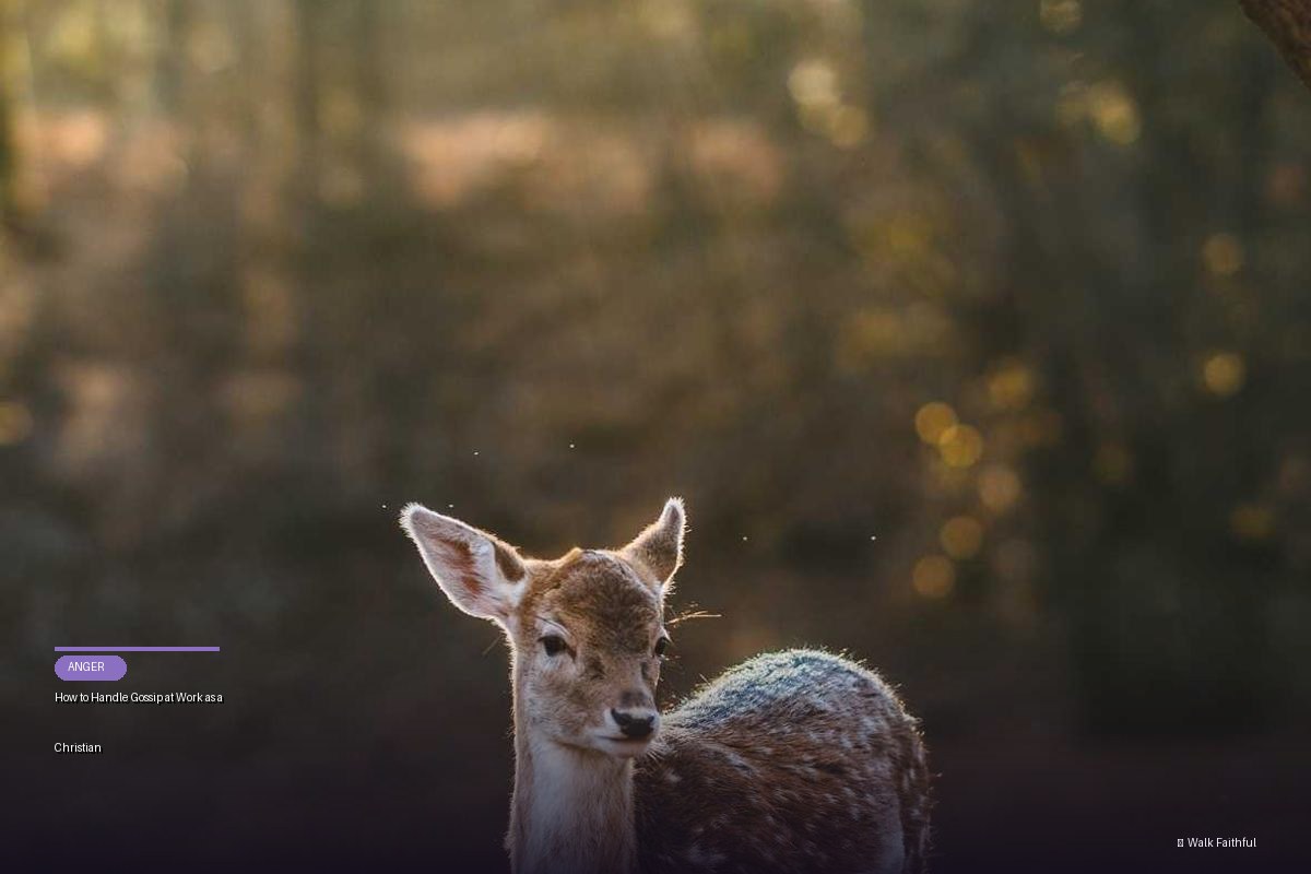 How to Handle Gossip at Work as a Christian