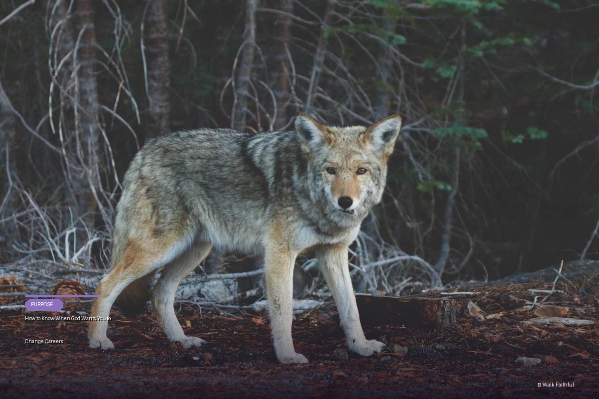 How to Know When God Wants You to Change Careers