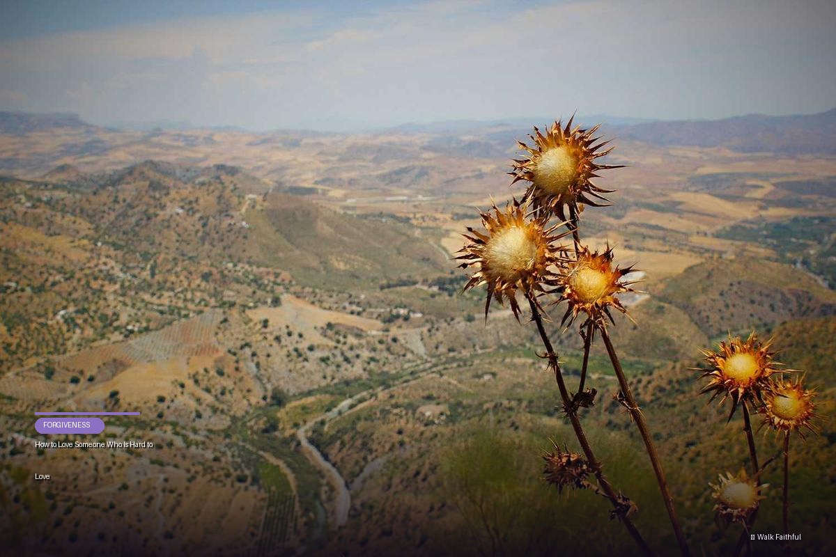 How to Love Someone Who Is Hard to Love