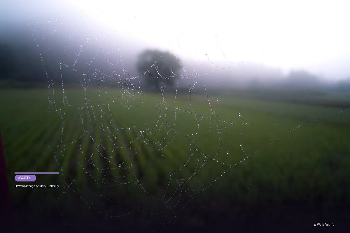 How to Manage Anxiety Biblically