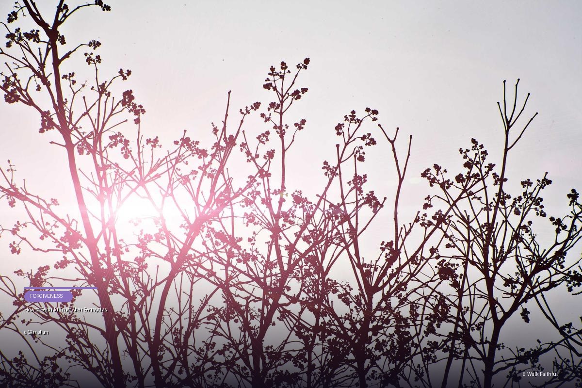 How to Rebuild Trust After Betrayal as a Christian