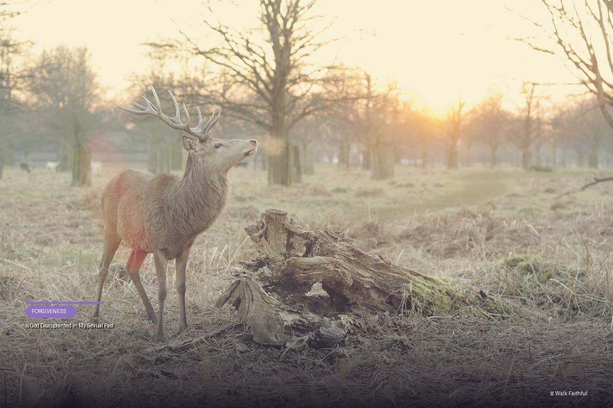 Is God Disappointed in My Sexual Past