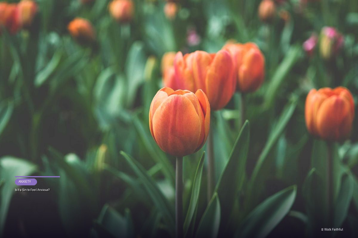 Is It a Sin to Feel Anxious?