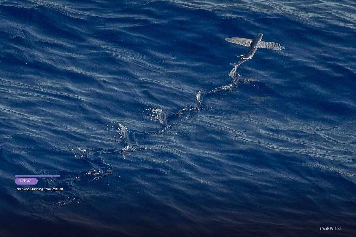 Jonah and Running from Gods Call