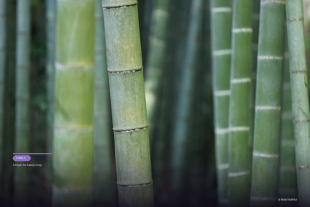 A Prayer for Family Unity