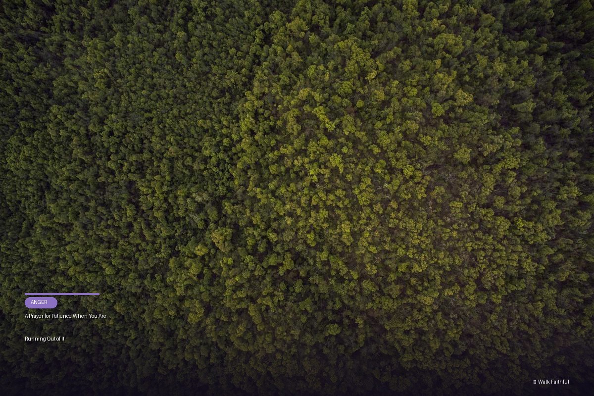 A Prayer for Patience When You Are Running Out of It