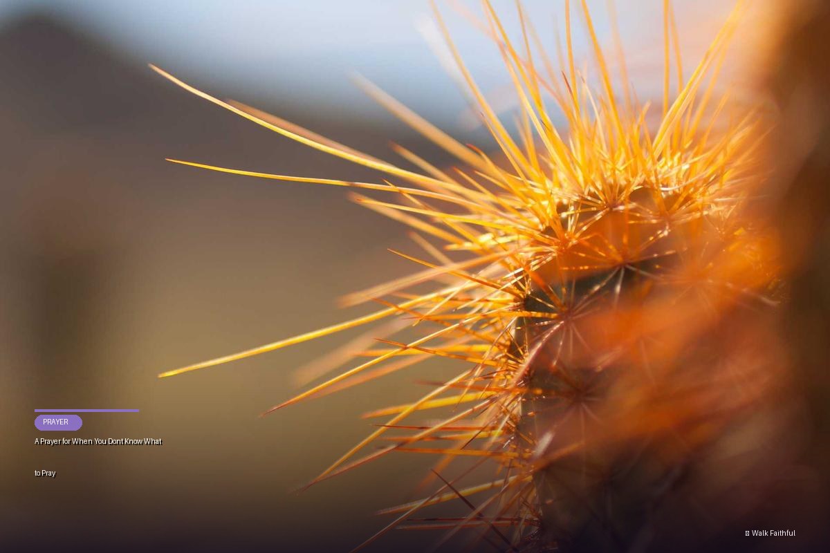 A Prayer for When You Don’t Know What to Pray