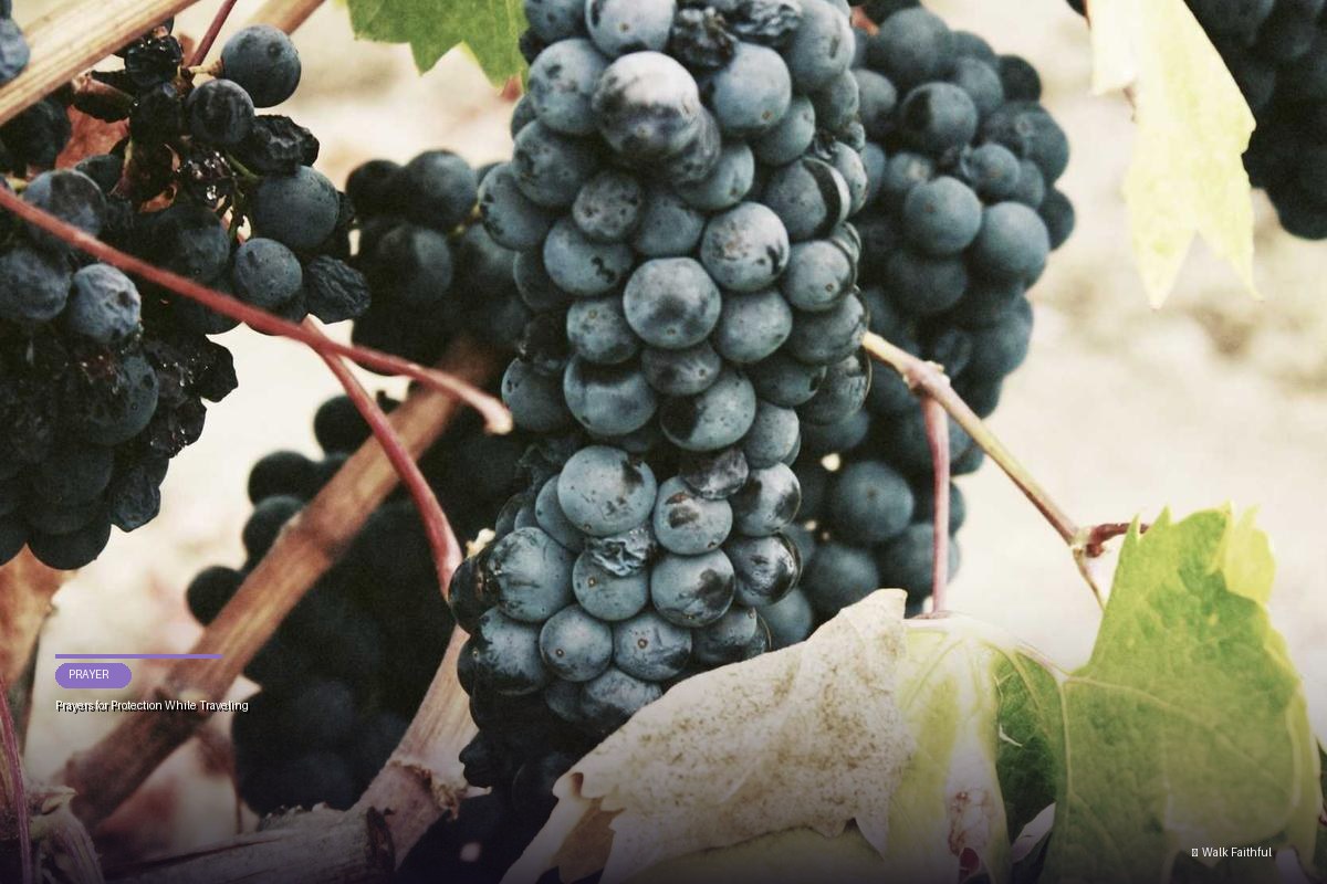 Prayers for Protection While Traveling