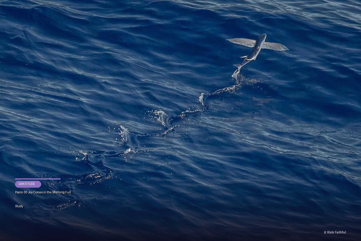 Psalm 30 Joy Comes in the Morning Full Study