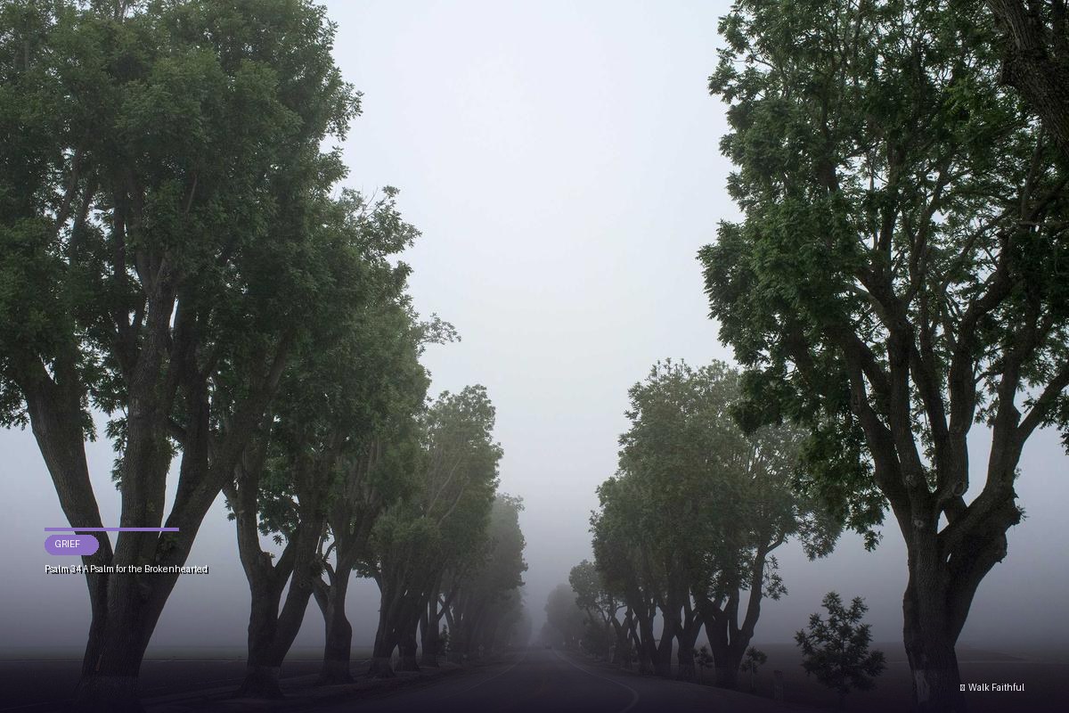 Psalm 34 A Psalm for the Brokenhearted