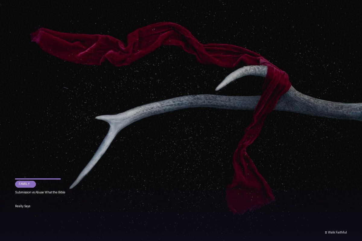 Submission vs Abuse What the Bible Really Says