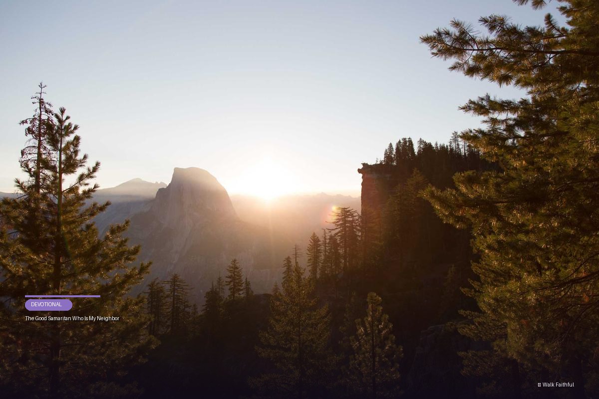 The Good Samaritan Who Is My Neighbor