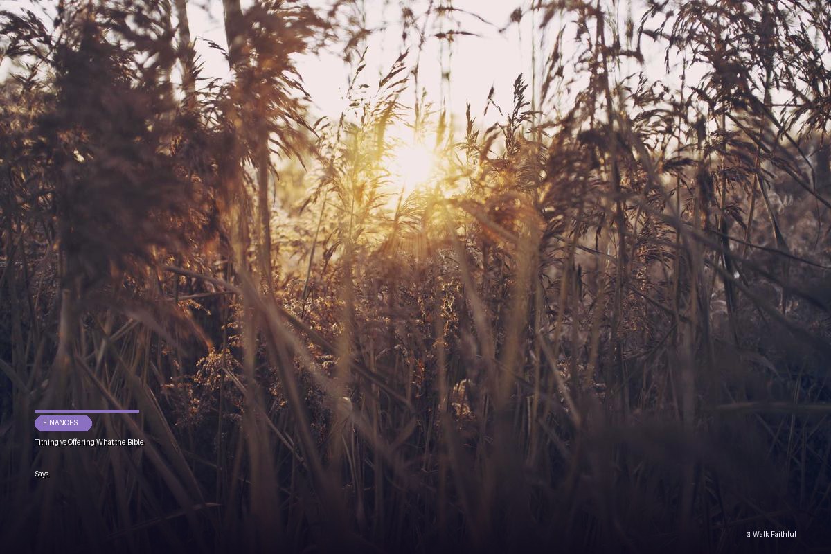 Tithing vs Offering What the Bible Says