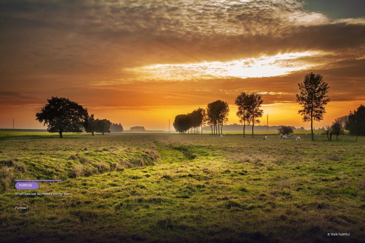 What Does God Say About Finding Your Purpose?