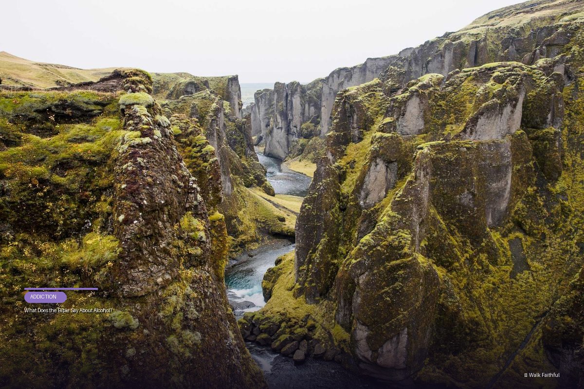 What Does the Bible Say About Alcohol?