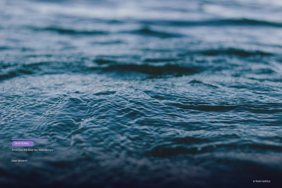 What Does the Bible Say About Being a Good Steward?