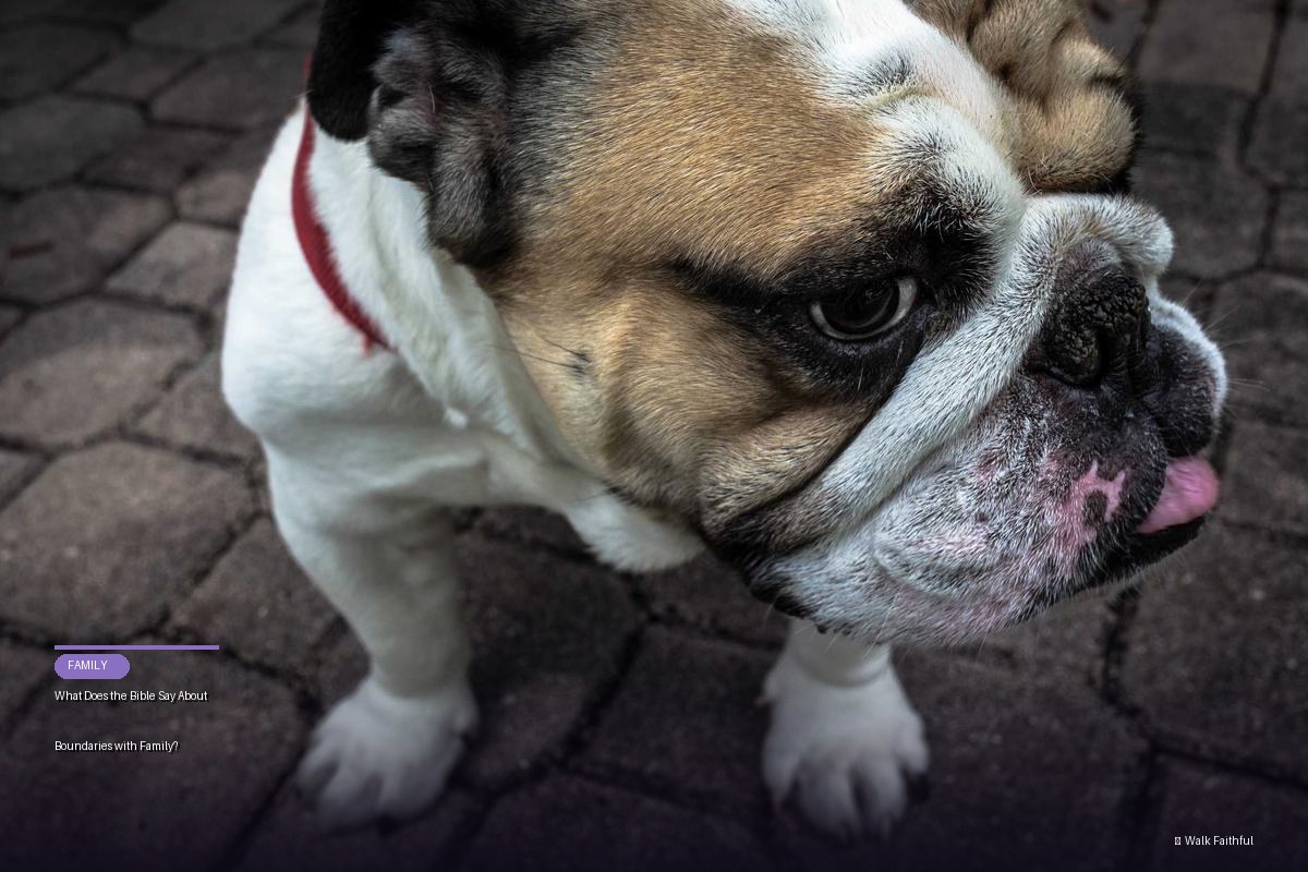 What Does the Bible Say About Boundaries with Family?