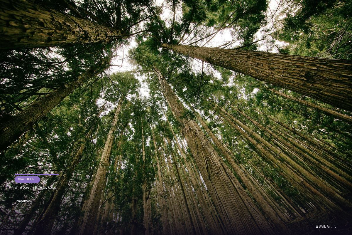 What Does the Bible Say About Comparison?